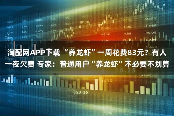 淘配网APP下载 “养龙虾”一周花费83元？有人一夜欠费 专家：普通用户“养龙虾”不必要不划算