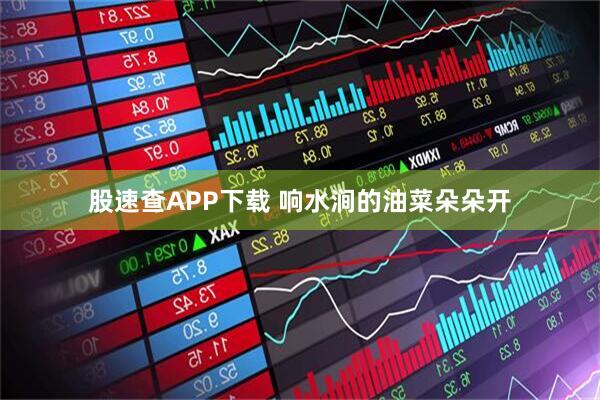 股速查APP下载 响水涧的油菜朵朵开