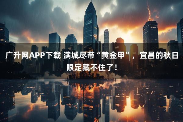 广升网APP下载 满城尽带“黄金甲”，宜昌的秋日限定藏不住了！