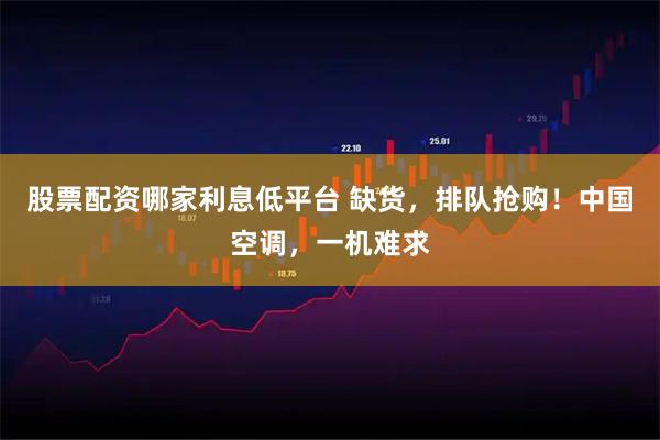 股票配资哪家利息低平台 缺货，排队抢购！中国空调，一机难求